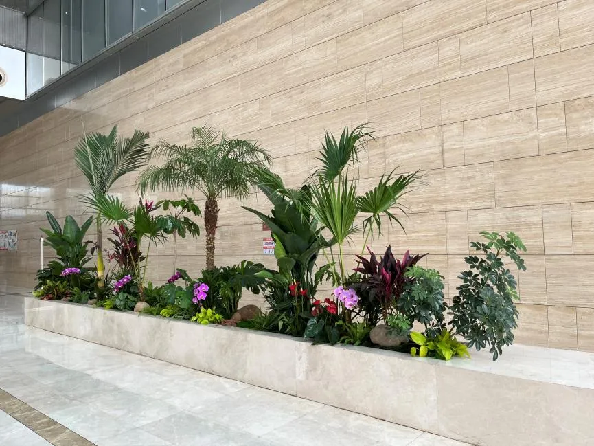 江北绿化养护哪家好